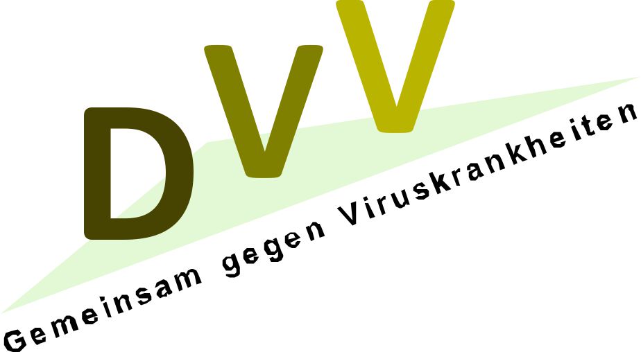 dvv child registration
